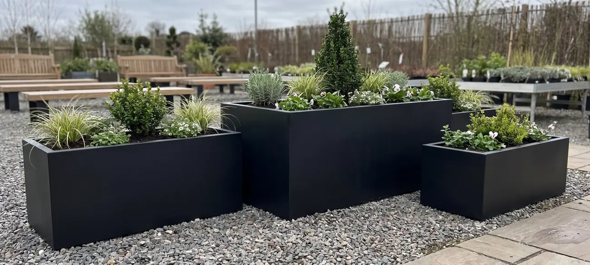 Black steel planter boxes of varying sizes with plants on display