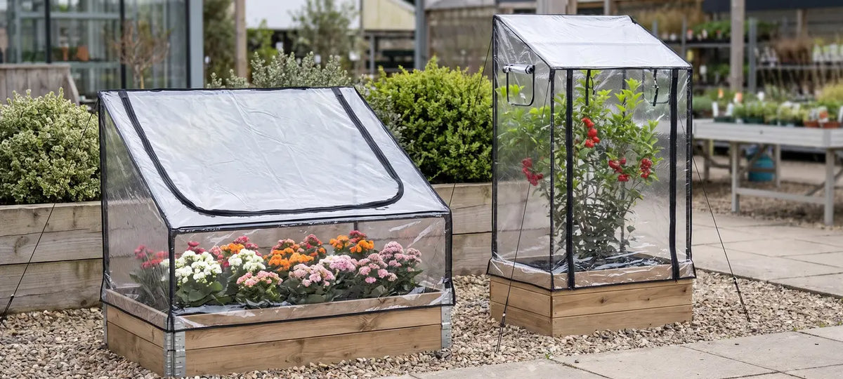 Low and tall clear mini greenhouse raised bed covers over garden beds