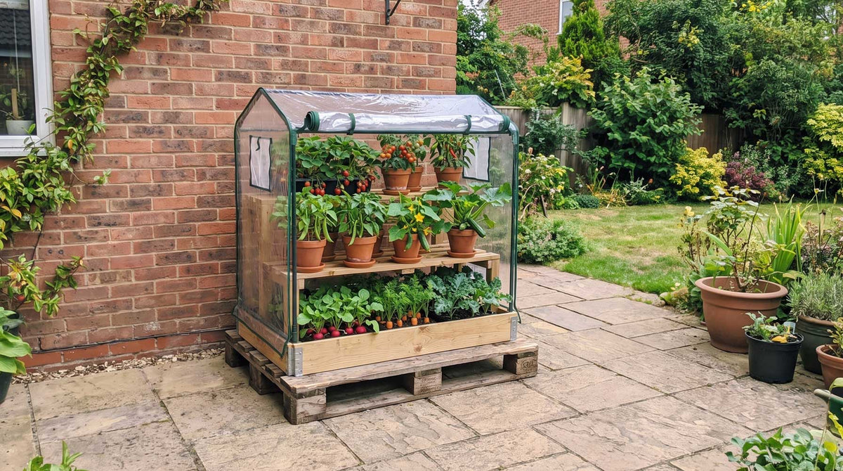 Pallet greenhouse
