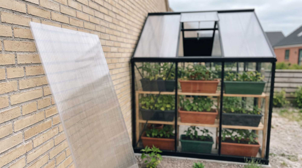 Glass for greenhouse