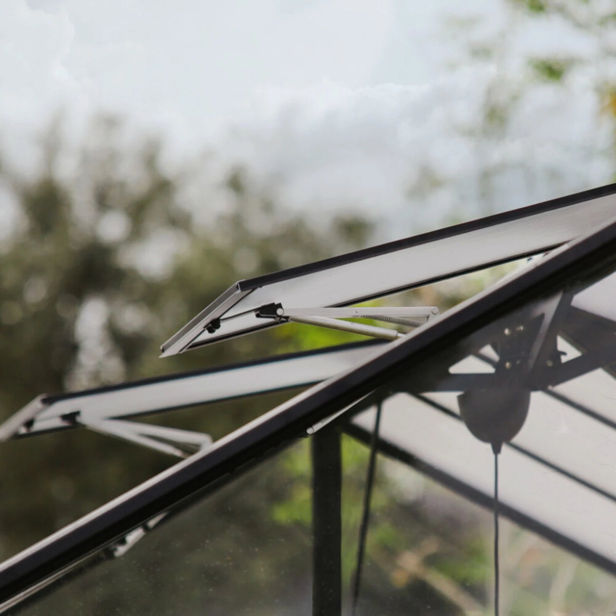 Triomphe 13ft. x 15ft. Greenhouse Kit - Black Structure & Clear Panels