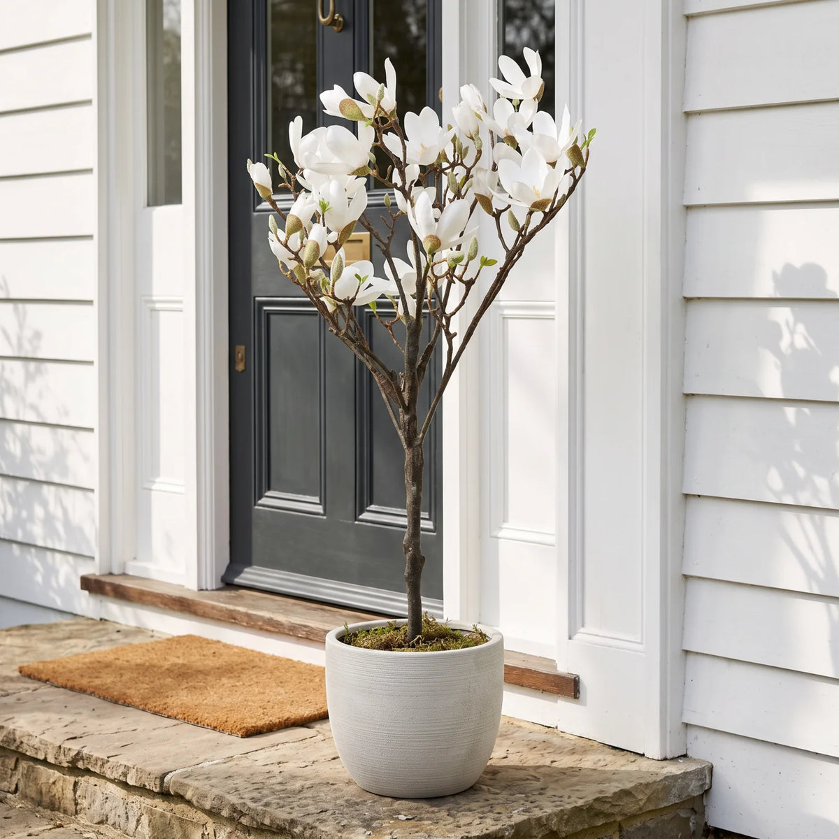 Artificial Magnolia Tree H120 cm in a pale ceramic planter beside a white country house front door