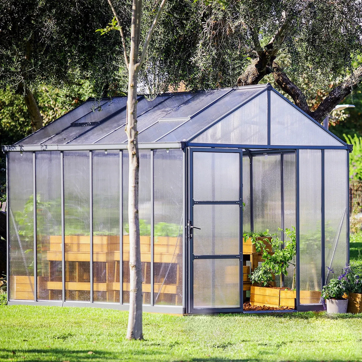 Greenhouse Glory 8×12 ft. – Grey