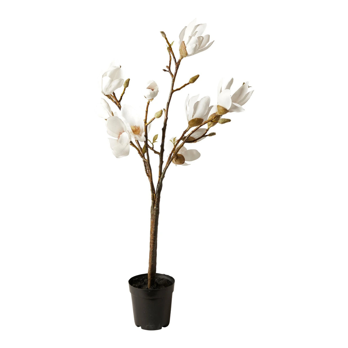 Artificial Magnolia Tree H70 cm - White