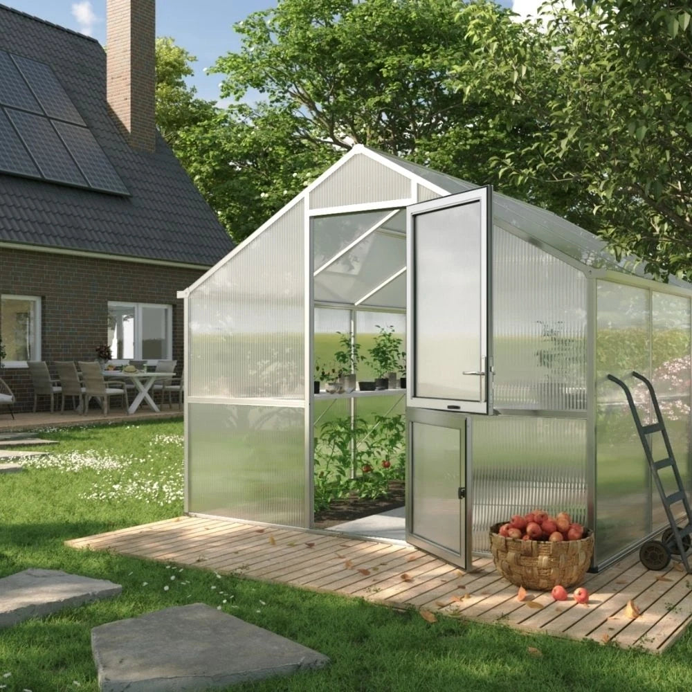 Greenhouse Nelke III, blank