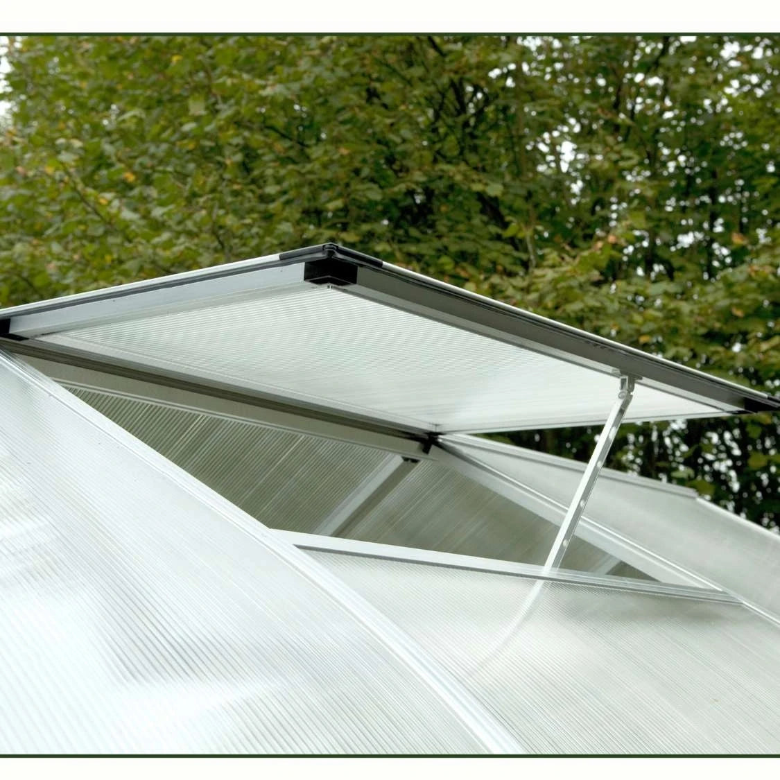 Rhodo III Clear Greenhouse KGT – Classic Glass Quality